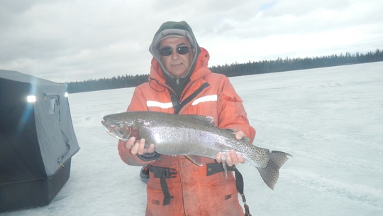 Rainbow Trout