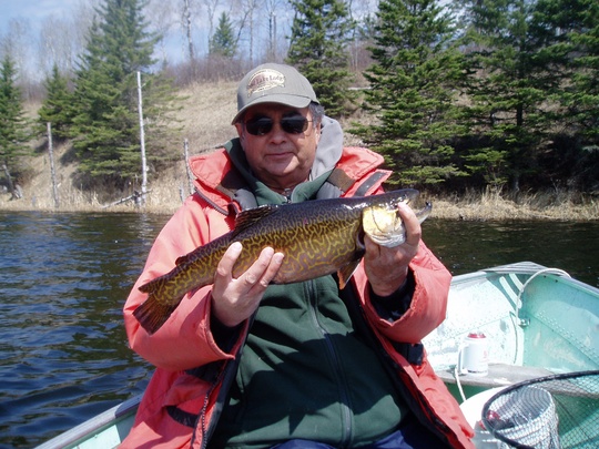 Tiger Trout