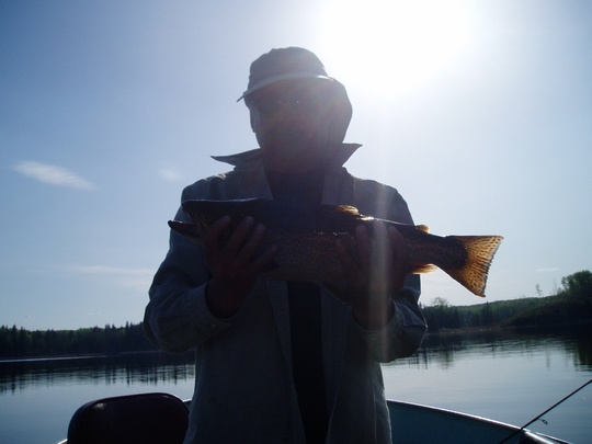 Tiger Trout