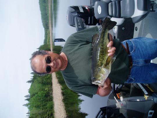 Largemouth Bass