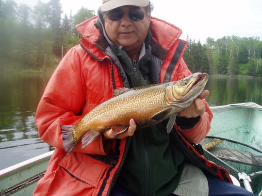 Tiger Trout