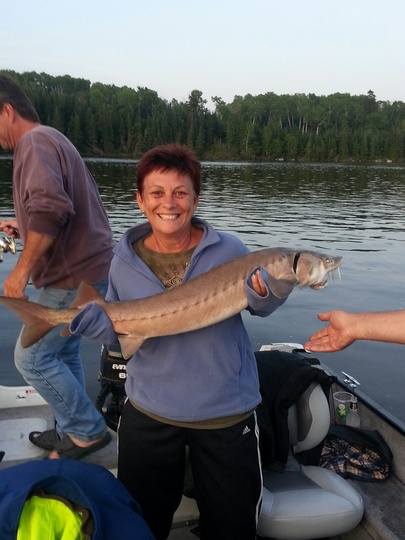 Lake Sturgeon