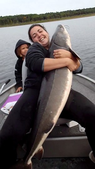 Lake Sturgeon