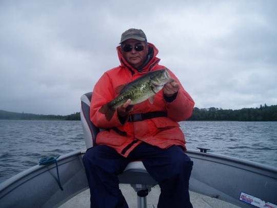 Largemouth Bass
