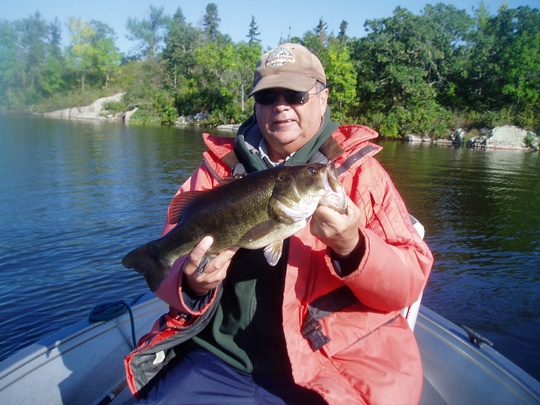 Largemouth Bass