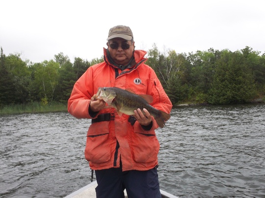Largemouth Bass