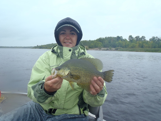 Black Crappie