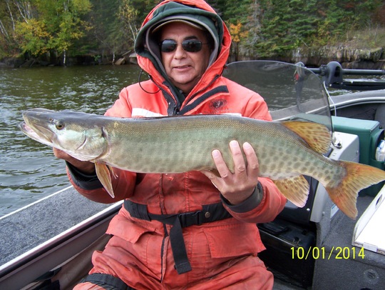 Muskellunge