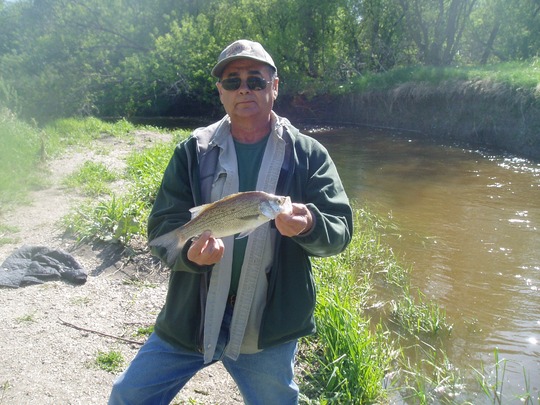 White Bass