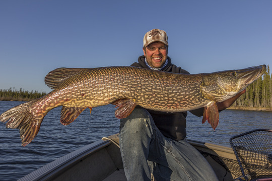 Northern Pike