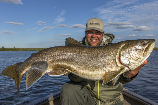 Lake Trout