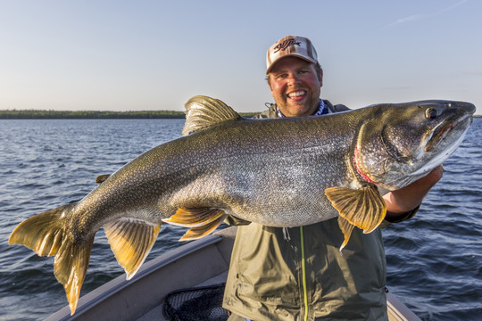 Lake Trout