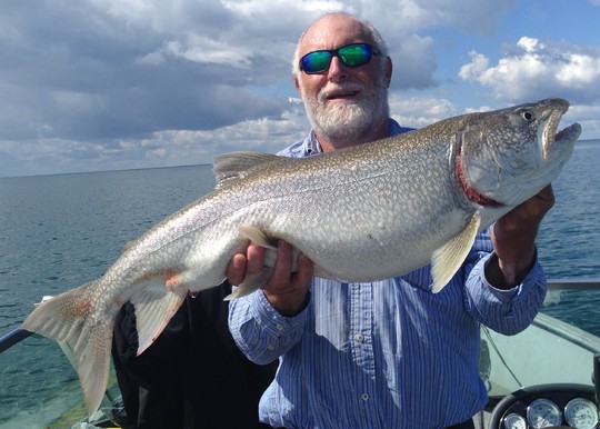 Lake Trout