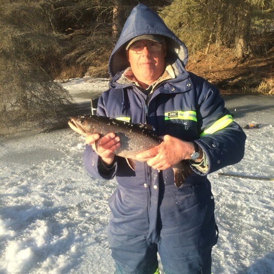 Brook Trout