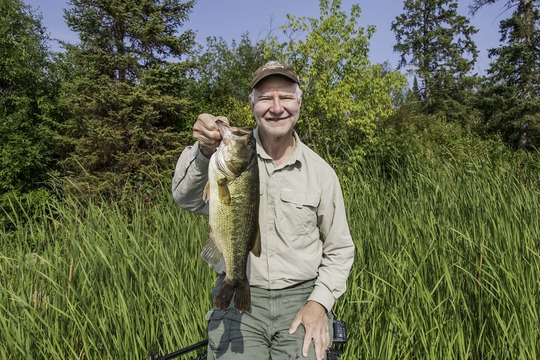 Largemouth Bass