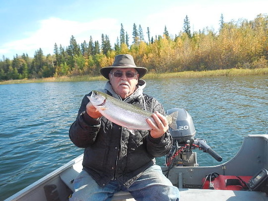 Rainbow Trout