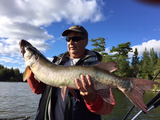 Muskellunge
