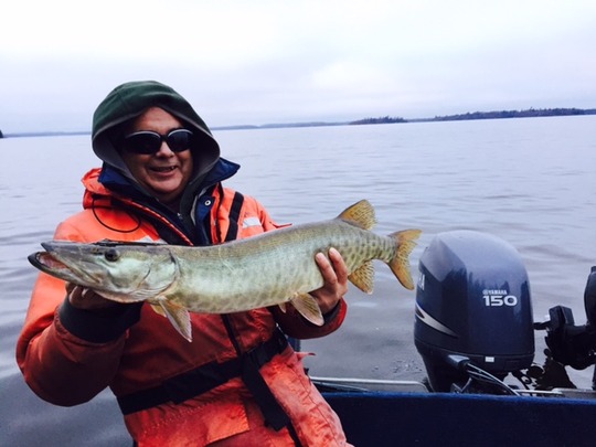 Muskellunge