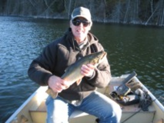 Brook Trout