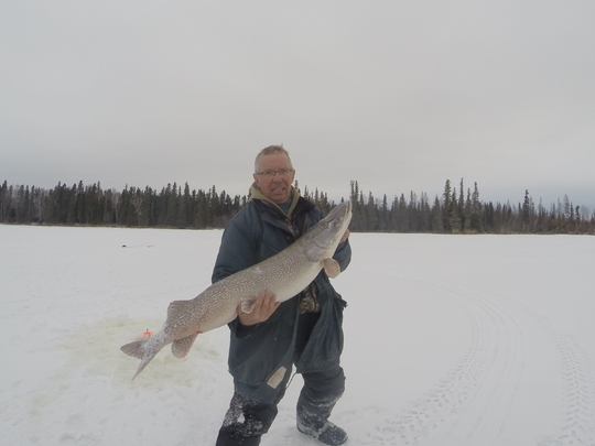 Northern Pike