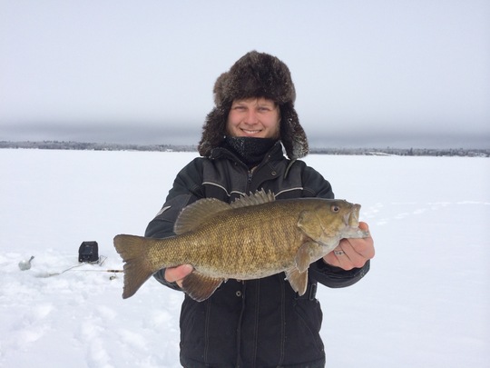 Smallmouth Bass