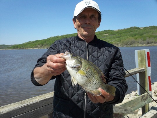 Rock Bass