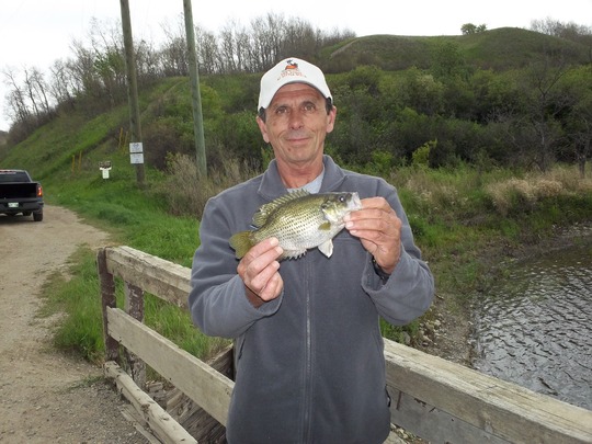 Rock Bass