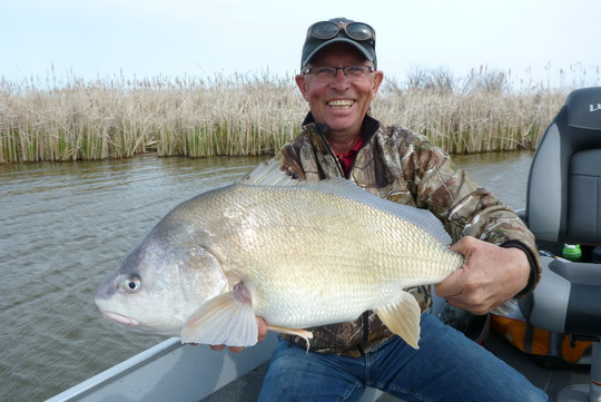 Freshwater Drum