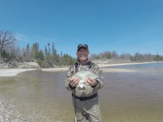 White Bass