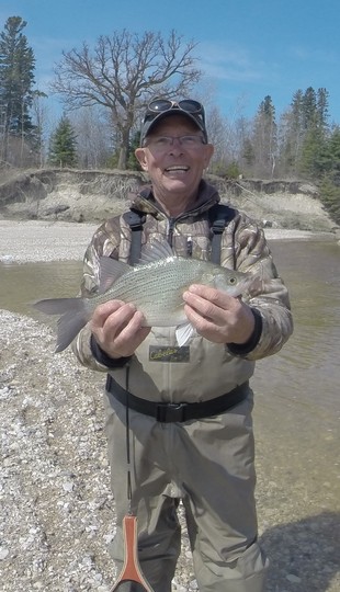 White Bass