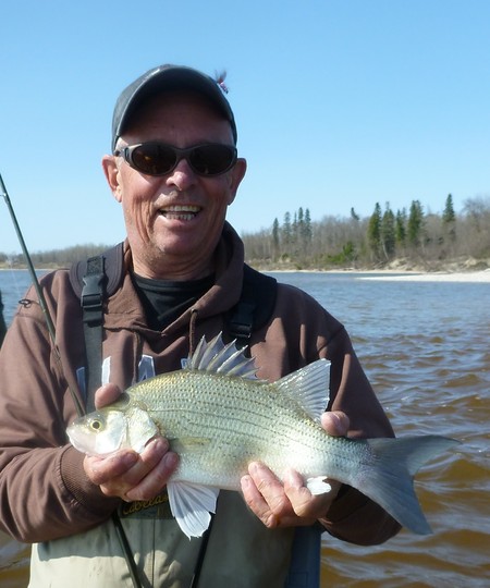 White Bass