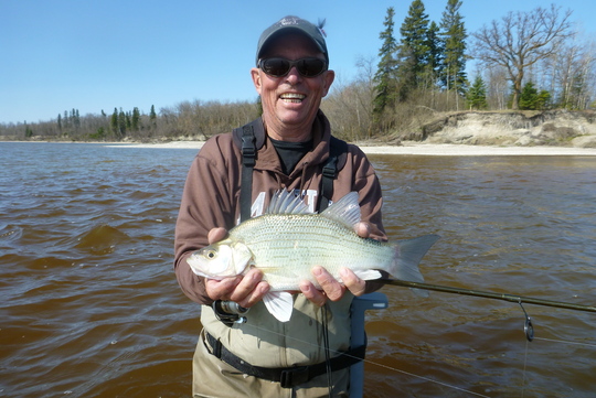 White Bass