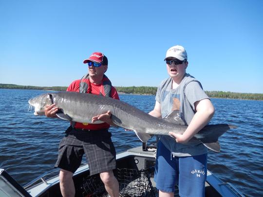 Lake Sturgeon