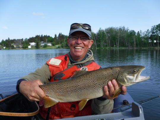 Brown Trout