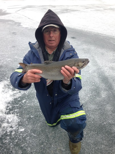 Brook Trout