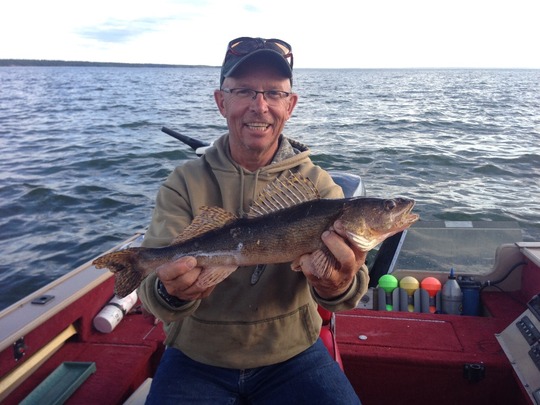 Sauger
