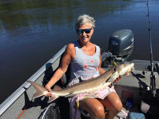 Lake Sturgeon
