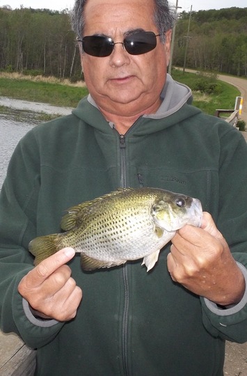 Rock Bass