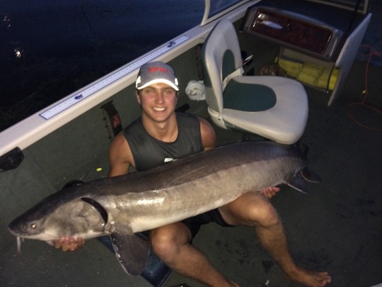 Lake Sturgeon