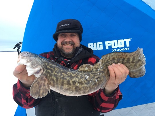 Burbot