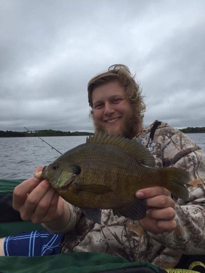 Sunfish