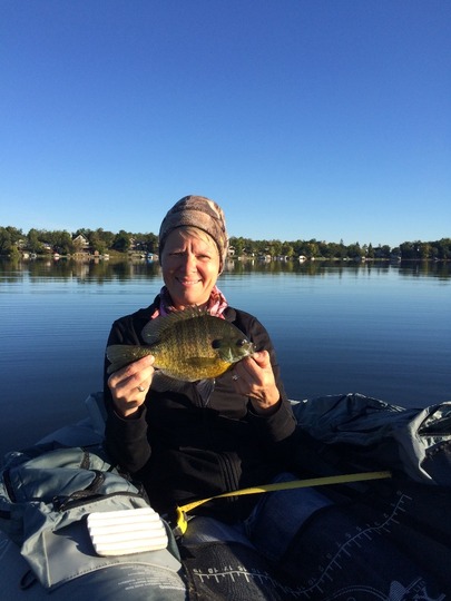 Sunfish
