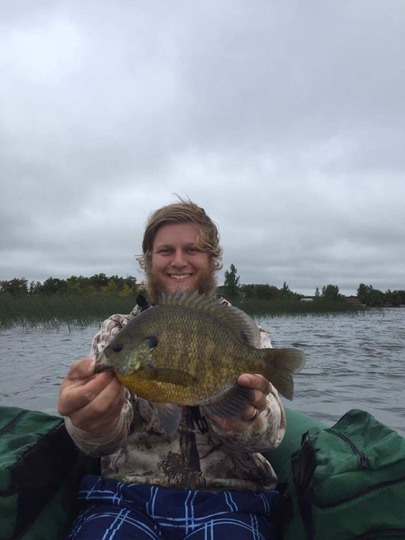 Sunfish