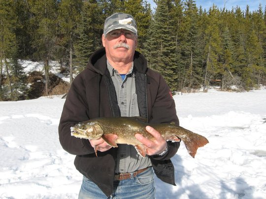 Arctic Char