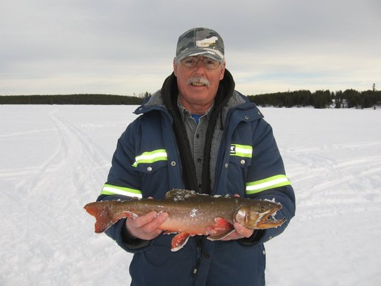 Arctic Char