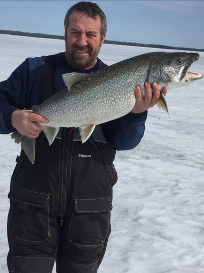 Lake Trout