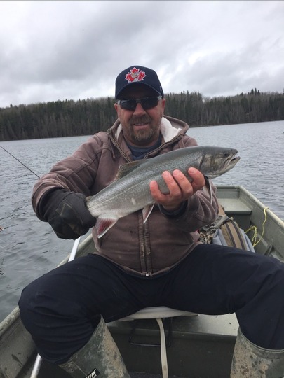 Brook Trout