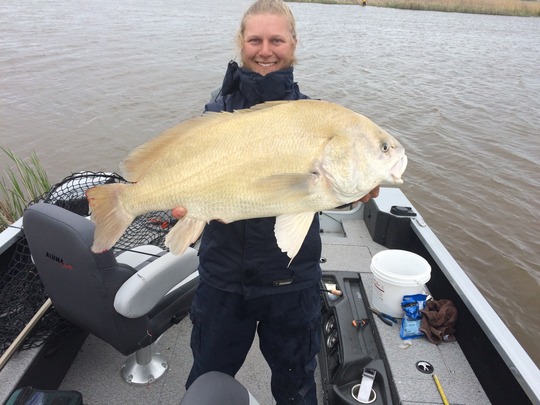 Freshwater Drum