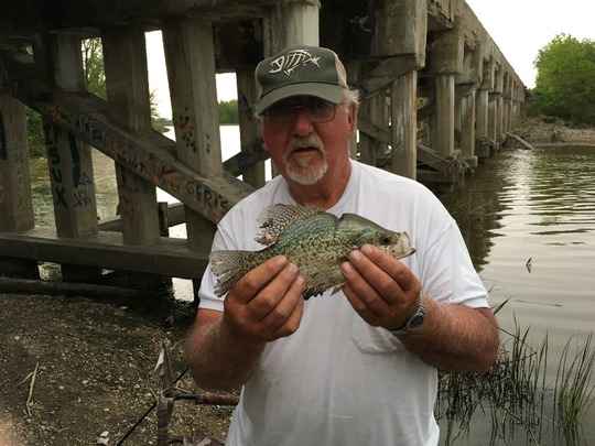 Rock Bass