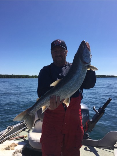 Lake Trout